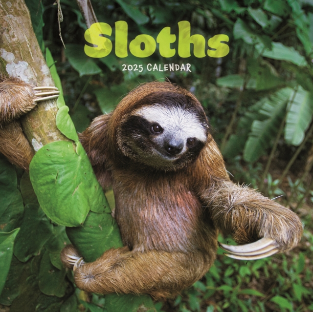 Sloths Square Mini Calendar 2025, Paperback Book