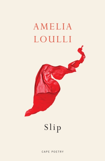 Slip : From the Winner of the Northern Writers  Award, EPUB eBook