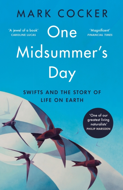 One Midsummer's Day : Swifts and the Story of Life on Earth, Paperback / softback Book