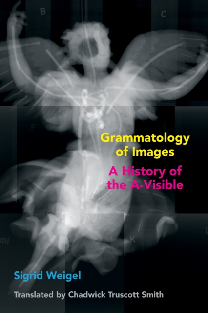 Grammatology of Images : A History of the A-Visible, PDF eBook