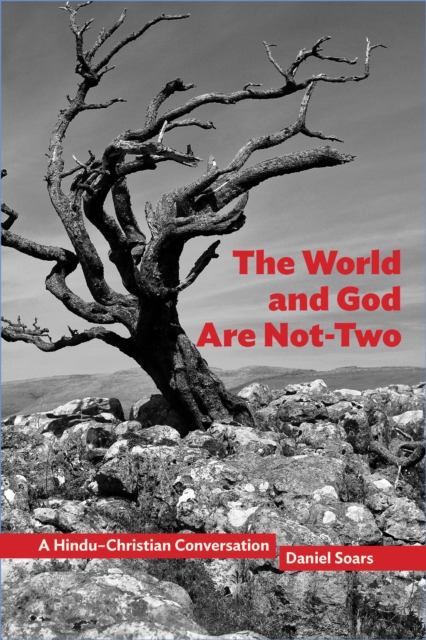 The World and God Are Not-Two : A Hindu-Christian Conversation, EPUB eBook