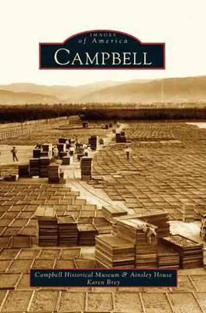 Campbell, Hardback Book