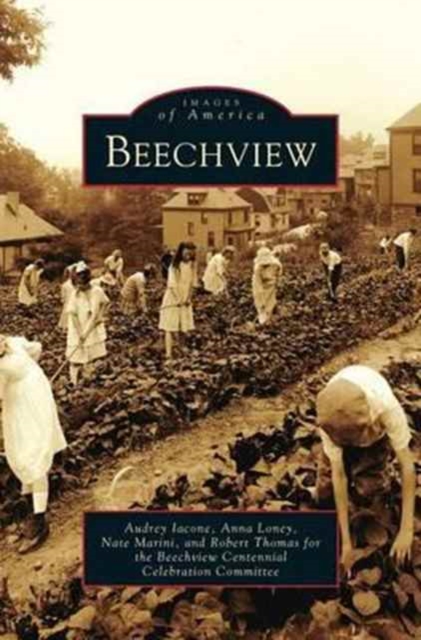 Beechview, Hardback Book