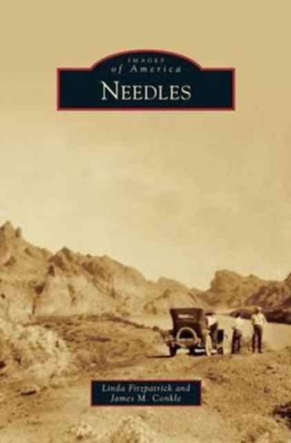 Needles, Hardback Book