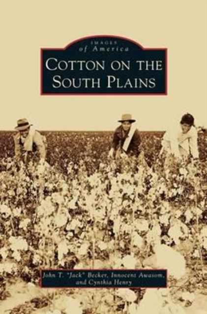 Cotton on the South Plains, Hardback Book