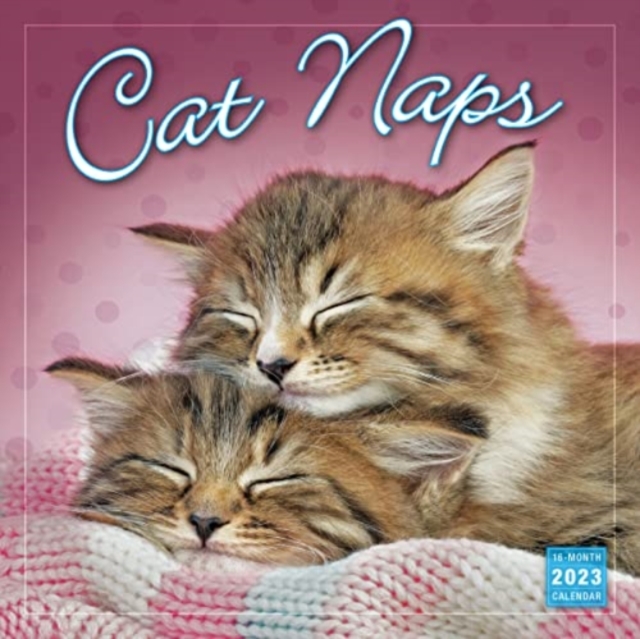CAT NAPS, Paperback Book