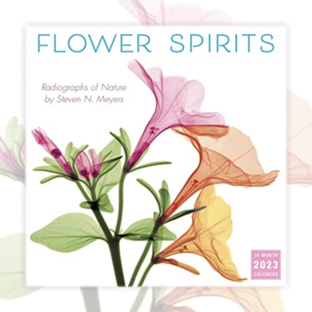 FLOWER SPIRITS, Paperback Book