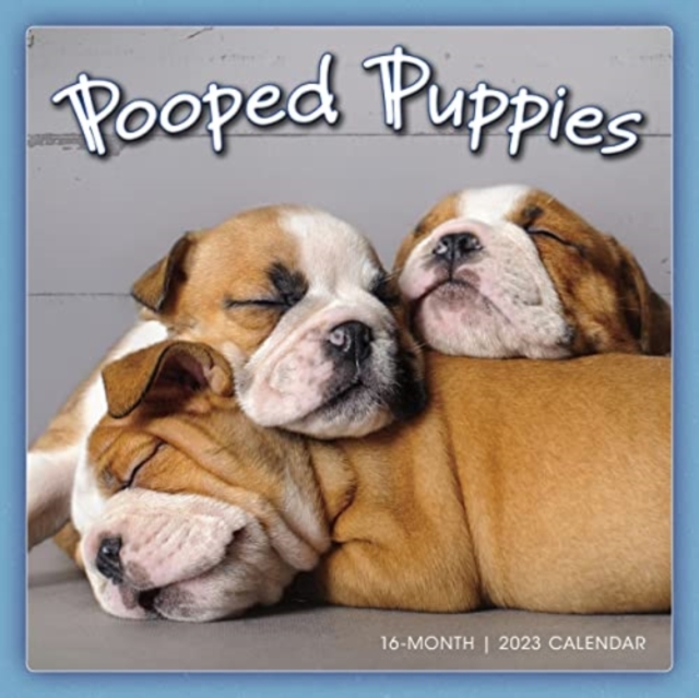 POOPED PUPPIES, Paperback Book