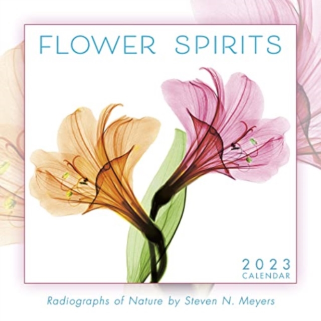 FLOWER SPIRITS, Paperback Book