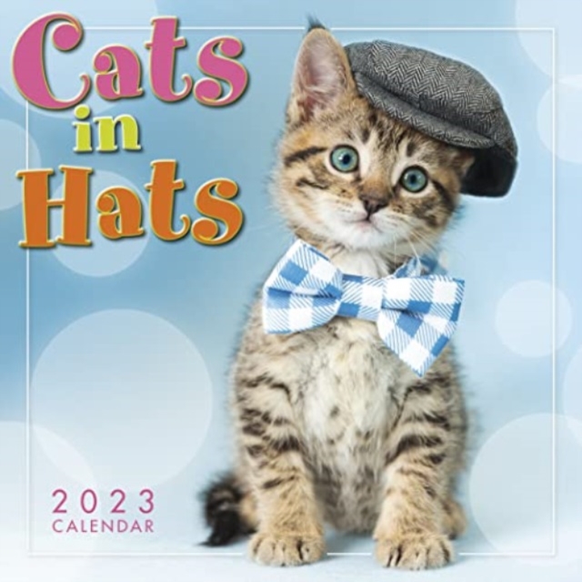 CATS IN HATS, Paperback Book