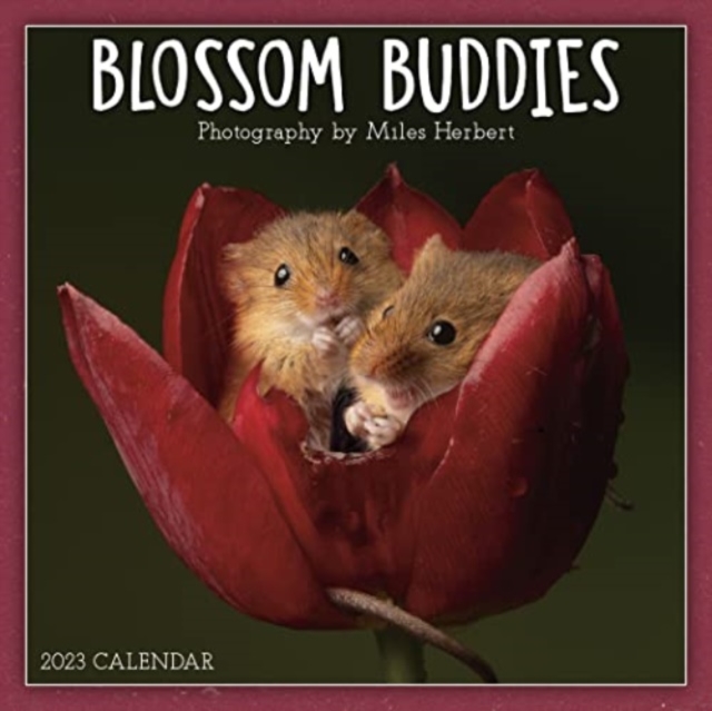 BLOSSOM BUDDIES, Paperback Book