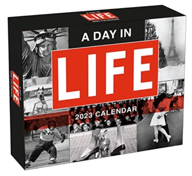 DAY IN LIFE A, Paperback Book