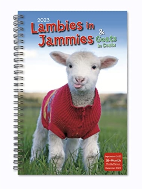 LAMBIES IN JAMMIES GOATS IN COATS, Paperback Book