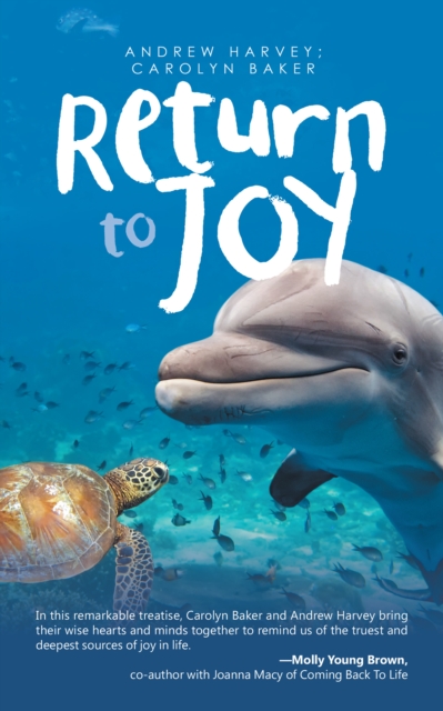 Return to Joy, EPUB eBook