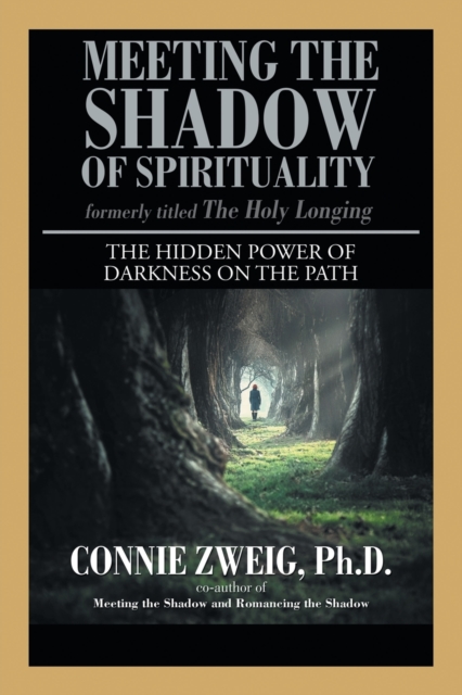 Meeting the Shadow of Spirituality : The Hidden Power of Darkness on the Path, Paperback / softback Book