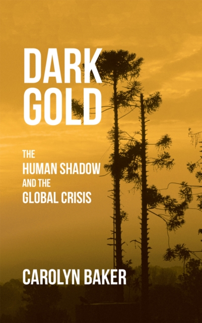 Dark Gold : The Human Shadow and the Global Crisis, EPUB eBook