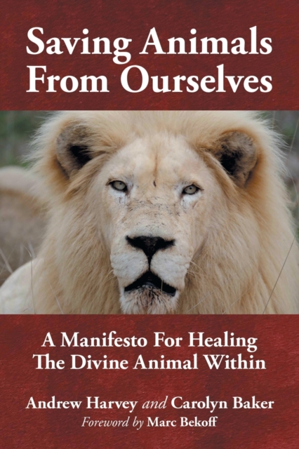 Saving Animals from Ourselves : A Manifesto for Healing the Divine Animal Within, Paperback / softback Book