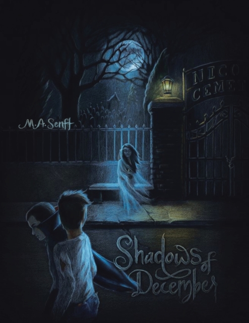 Shadows of December : Illusions of Time, Paperback / softback Book