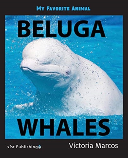 My Favorite Animal : Beluga Whales, Paperback / softback Book