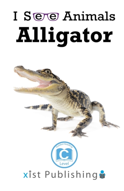 Alligator, Paperback / softback Book