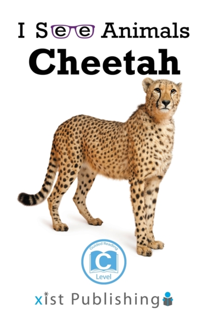 Cheetah, Paperback / softback Book