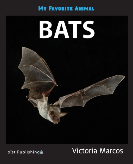 My Favorite Animal : Bats, Paperback / softback Book