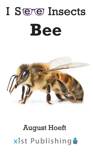 Bee, Hardback Book