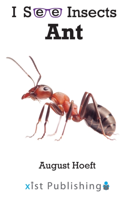 Ant, Paperback / softback Book