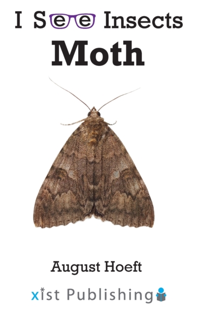 Moth, Paperback / softback Book