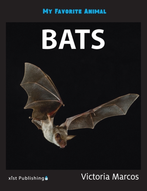 My Favorite Animal : Bats, Hardback Book
