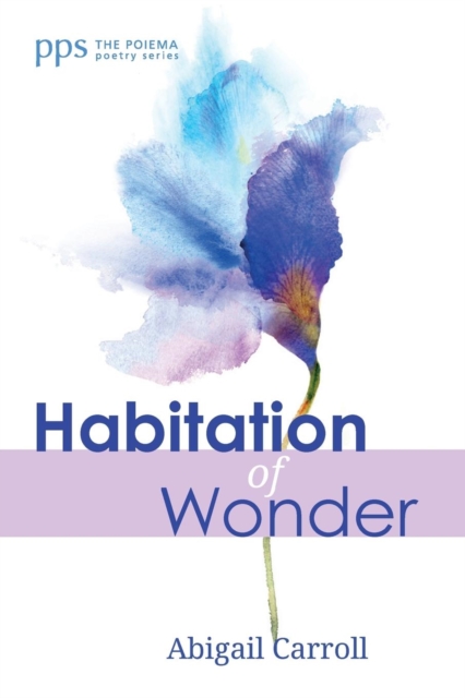 Habitation of Wonder, Paperback / softback Book