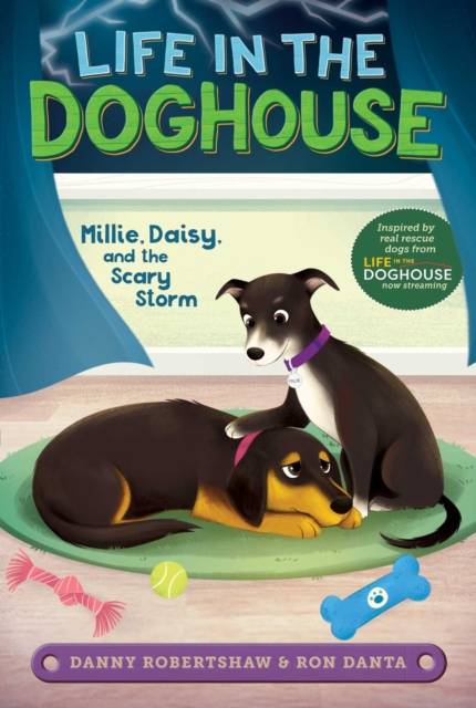 Millie, Daisy, and the Scary Storm, EPUB eBook