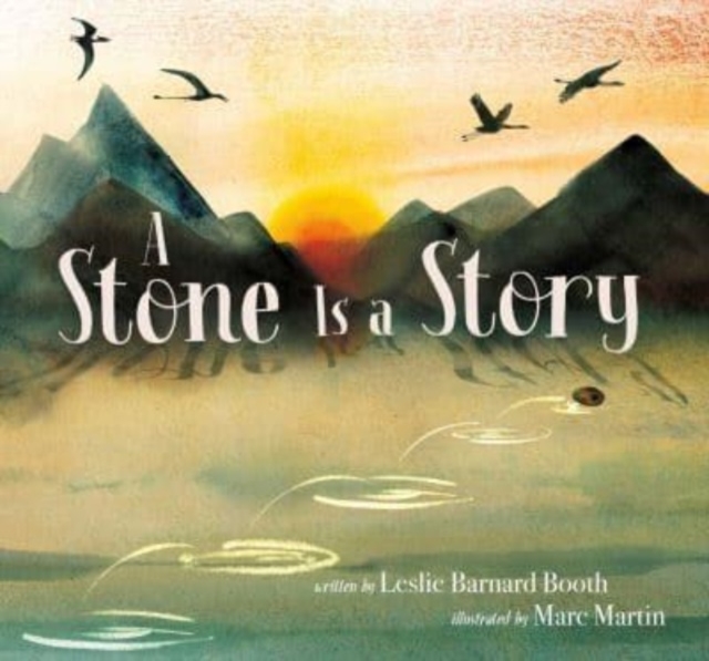 A Stone Is a Story, Hardback Book