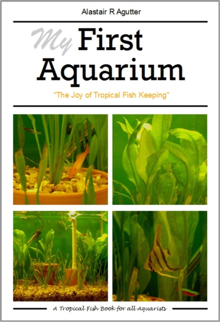 My First Aquarium : The Joy of Tropical Fish Keeping, Paperback / softback Book