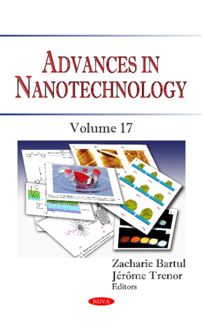 Advances in Nanotechnology : Volume 17, Hardback Book