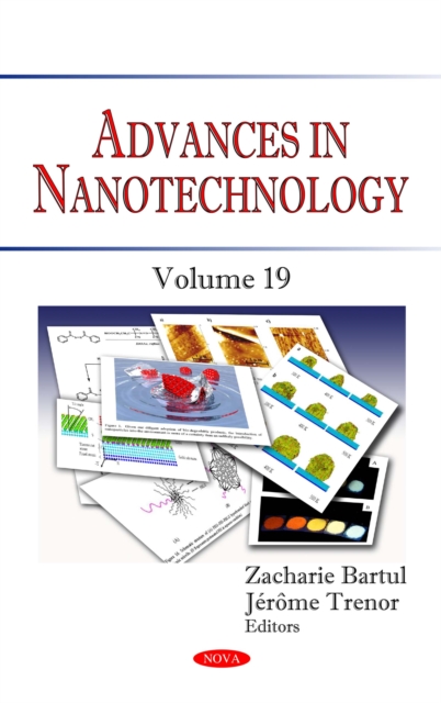 Advances in Nanotechnology. Volume 19, PDF eBook