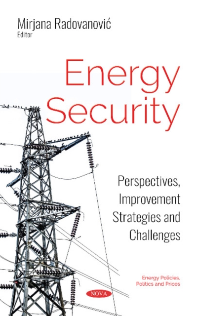 Energy Security : Perspectives, Improvement Strategies and Challenges, Hardback Book