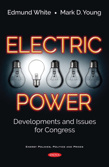 Electric Power : Developments and Issues for Congress, PDF eBook