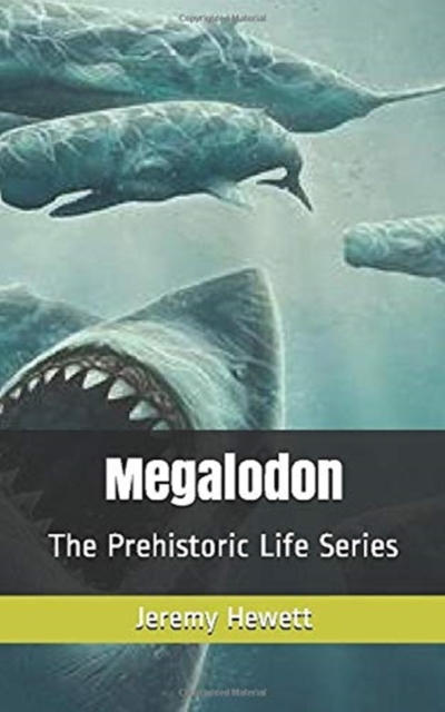 Megalodon, Paperback / softback Book