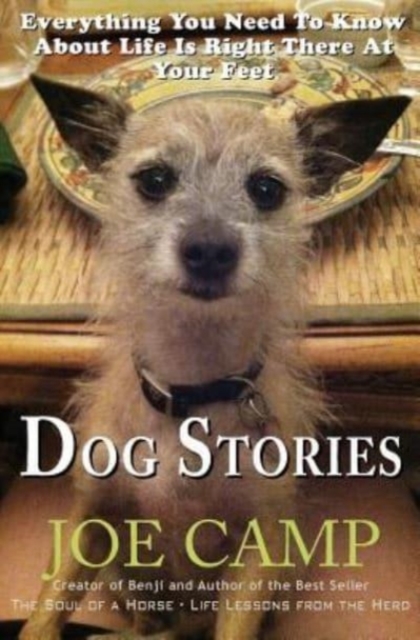 Dog Stories : Everything You Need To Know About Life Is Right There At Your Feet, Paperback / softback Book