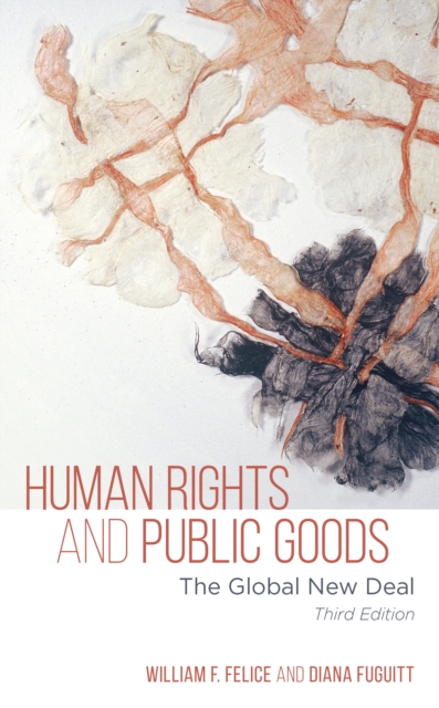 Human Rights and Public Goods : The Global New Deal, Hardback Book