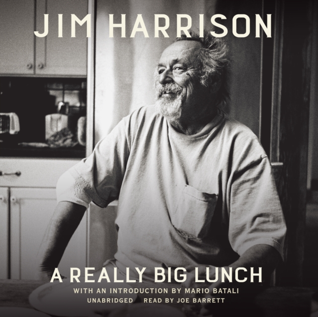 A Really Big Lunch, eAudiobook MP3 eaudioBook