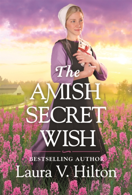 The Amish Secret Wish, Paperback / softback Book