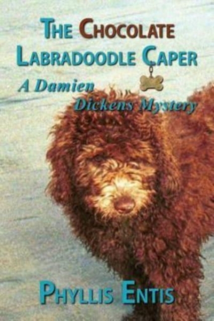 The Chocolate Labradoodle Caper : A Damien Dickens Mystery, Paperback / softback Book