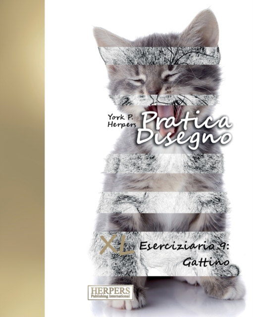 Pratica Disegno - XL Eserciziario 9 : Gattino, Paperback / softback Book