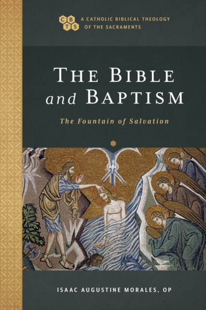 The Bible and Baptism – The Fountain of Salvation, Paperback / softback Book