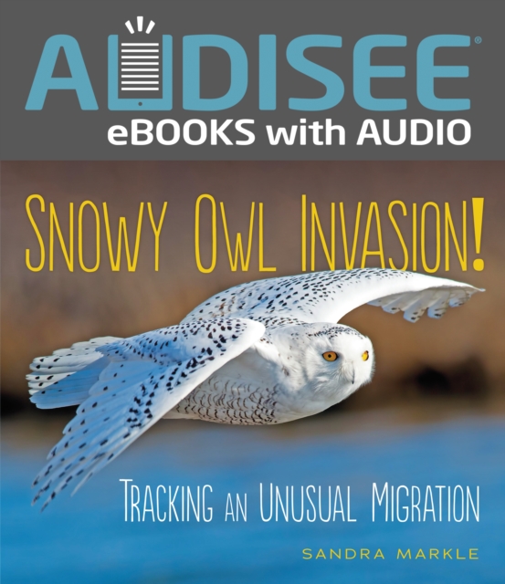 Snowy Owl Invasion! : Tracking an Unusual Migration, EPUB eBook