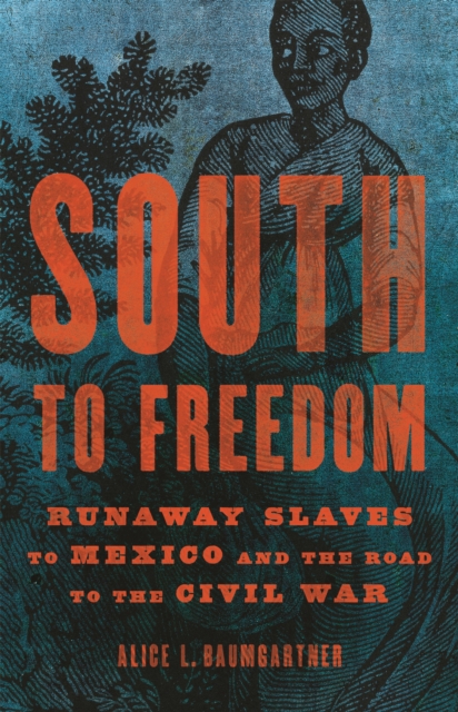 South to Freedom : Runaway Slaves to Mexico and the Road to the Civil War, Hardback Book