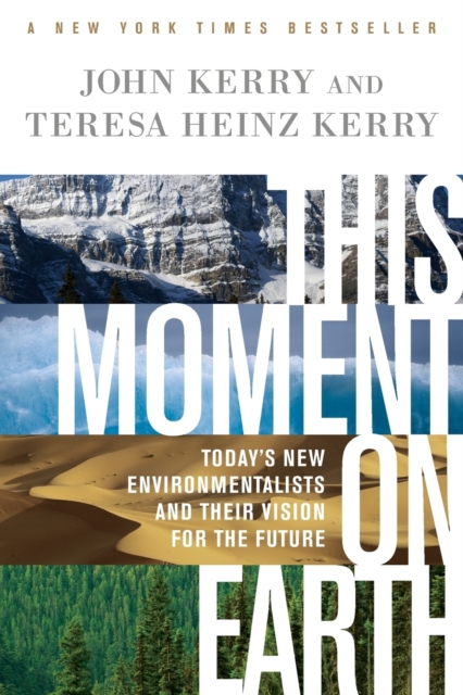 This Moment on Earth : Today's New Environmentalists and Their Vision for the Future, Paperback / softback Book