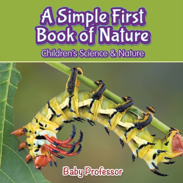 A Simple First Book of Nature - Children's Science & Nature, Paperback / softback Book